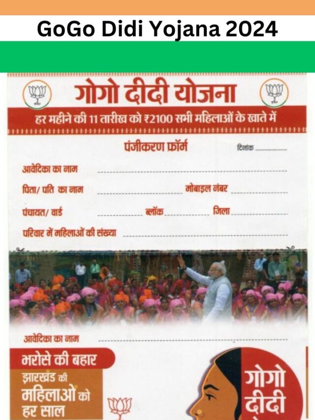 GoGo Didi Yojana 2024